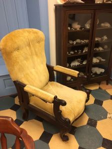 10981156_10152695449186662_3791582659521658792_n